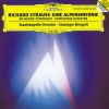 Download track Alpensymphonie, Op. 64 Auf Dem Gletscher