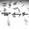 Download track SANTIAGO SKY & Amp; SITOX² - MISSING YOU (SHORT EDIT)