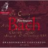 Download track 17 - Brandenburg Concerto No. 1 In F Major, BWV 1046- III. Allegro