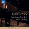 Download track Piano Sonata No. 15 In D Major, Op. 28 