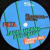 Download track Japan Horns Are Gruvy (Lebedev (RU) Remix)
