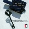 Download track Violin Sonata No. 4 In C Minor, BWV 1017 (Arr. For Recorder & Harpsichord By Lorenzo Cavasanti & Alessandro Padoan) I. Siciliano. Largo