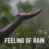 Download track First Rain Of The Season