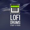 Download track Lofi Snap Crackle Pop Drum Progressions