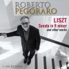 Download track Sonata In B Minor, S. 178: I. Lento Assai - Allegro Energico - Grandioso (Live)