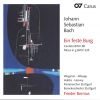 Download track Mass In G Minor, BWV 235: I. Kyrie