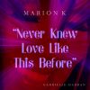 Download track Never Knew Love Like This Before (Radio Edit)