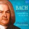 Download track 40. Meinen Jesum Lass Ich Nicht, BWV 124 - III. Und Wenn Der Harte Todesschlag (Arie)