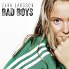 Download track Bad Boys