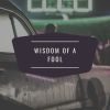 Download track Wisdom Of A Fool