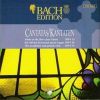 Download track Wer Da Gläubet Und Getauft Wird BWV 37 - VI Choral (Coro)