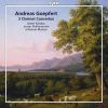 Download track 04. Clarinet Concerto, Op. 20 In B Flat Major - Allegro Moto