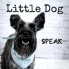 Download track Little Dog Blues