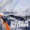 Download track Sailing The Storm