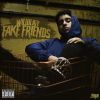 Download track Fake Friends
