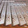 Download track Symphony No. 4 In D Minor, Op. 120: I. Ziemlich Langsam-Lebhaft