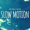 Download track Slow Motion (Instrumental Mix)