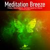 Download track Song Of Divine (13 Minutes Meditaton Mix)
