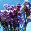 Download track 01. Mozart Piano Concerto No. 11 In F Major, K. 413 I. Allegro (Cadenzas By W. A. Mozart)