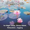 Download track Soothing Music, Pt. 43