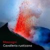Download track 17. Cavalleria Rusticana, Scene 9 A Casa, A Casa, Amici (Live)