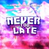 Download track Never Too Late (Instrumental Extended Version)