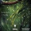 Download track Forest Rain (Original Mix)