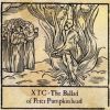 Download track The Ballad Of Peter Pumpkinhead