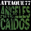 Download track Angeles Caidos