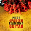 Download track Flamenco Party