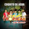 Download track Coquito De Agua