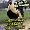 Download track El Gallo De San Juan