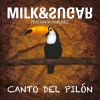 Download track Canto Del Pilón [Original Radio Mix]