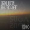 Download track Electric Sunset (Original Mix)
