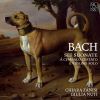 Download track Violin Sonata No. 4 In C Minor, BWV 1017 III. Adagio