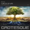 Download track Circle Of Life (Amir Hussain Extended Remix)