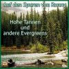Download track Hohe Tannen