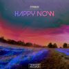 Download track Happy Now (Radio Edit)