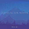 Download track J. S. Bach: Polonaise In F Major, BWV Anh. 117b (App. C)