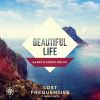 Download track Beautiful Life (Gareth Emery Remix)