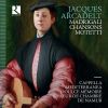 Download track 18. O Felici Occhi Miei Felici Voi Il Primo Libro De Madrigali D'Archadelt 1539