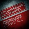 Download track Downfall (Extended Mix)