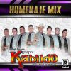 Download track Mix Rancheras Pa' Bailar, Pt. 1: Son Habladas / Te He De Querer