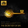 Download track The Secret Key Of Life (Tikaro & Flavio Terraze Mix) [Estela Martin]