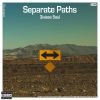 Download track Separate Paths (Extended Mix)