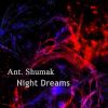 Download track Night Dreams