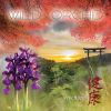 Download track Wild Orchid