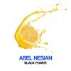 Download track Black Power