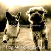 Download track Sophisticated Solo Piano Jazz - Vibe For Cute Dogs