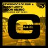 Download track Moon Rising (Micky More & Andy Tee Mix)